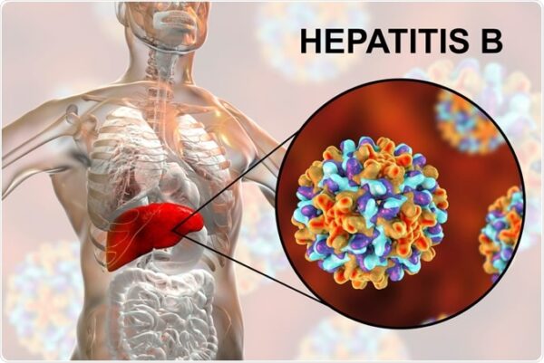 how to remove hepatitis b virus from body
