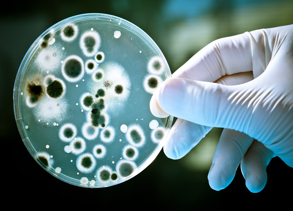 Human Genomics Immunity